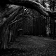 Image for article titled 180 Beautiful Black & White Images